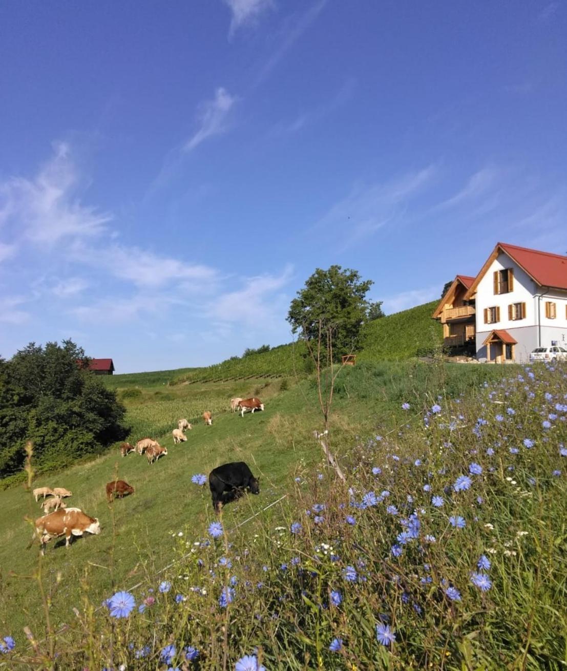 Bauernhof Gschmeidler Sankt Johann im Saggautal エクステリア 写真
